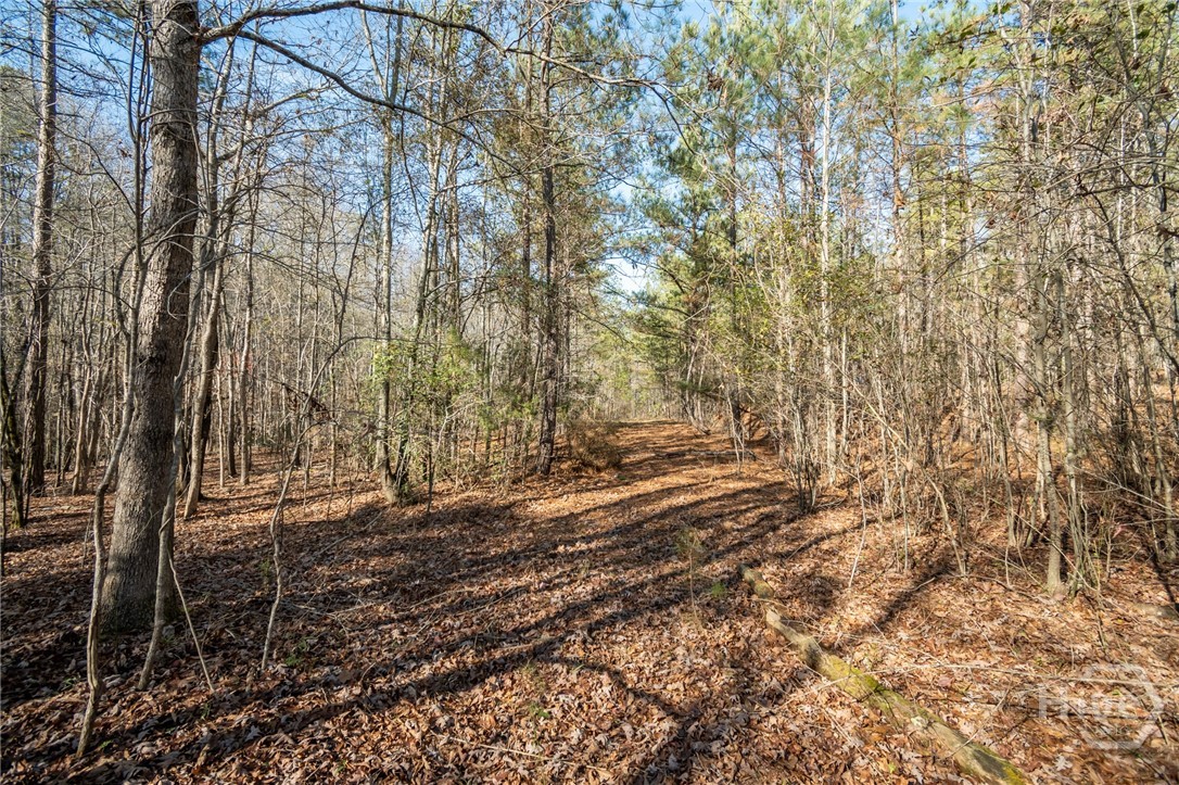 0 Lavista Road Property Photo 4