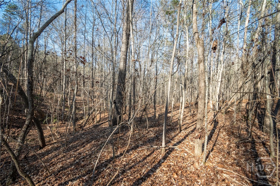 0 Lavista Road Property Photo 12