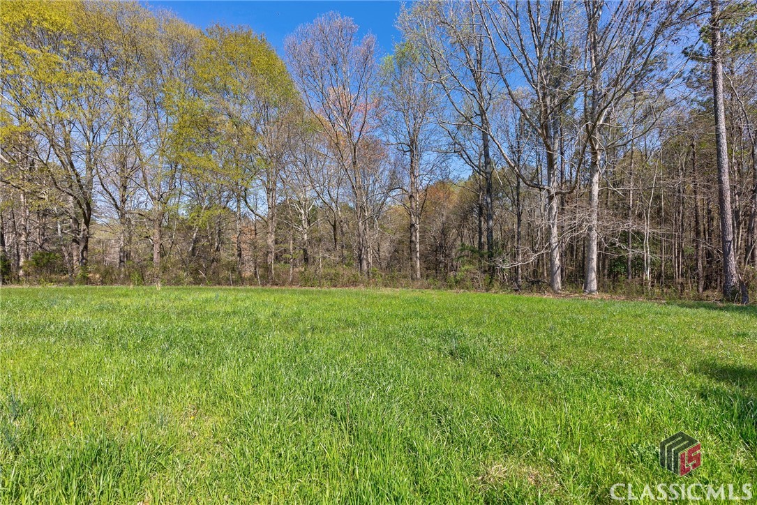 8986 Highway 29 S Property Photo 7