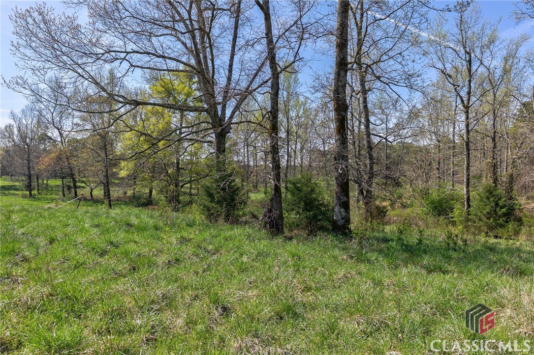 8986 Highway 29 S Property Photo 8