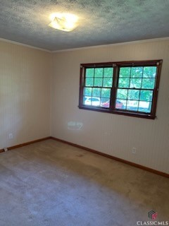 97 Abby Lane Property Photo 12