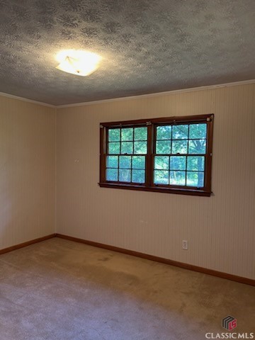 97 Abby Lane Property Photo 15