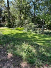 97 Abby Lane Property Photo 20