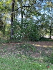 97 Abby Lane Property Photo 27