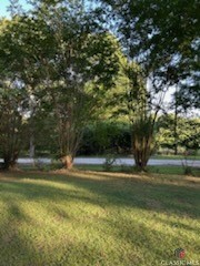 97 Abby Lane Property Photo 28