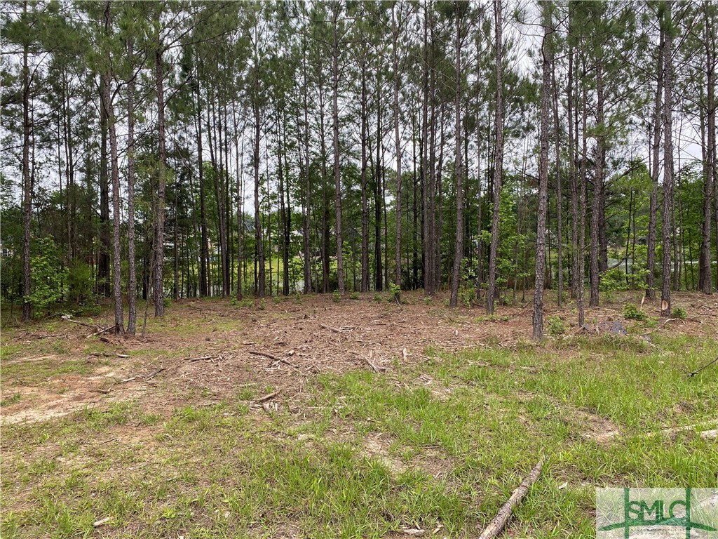 0 Woodside Cove Property Photo 4