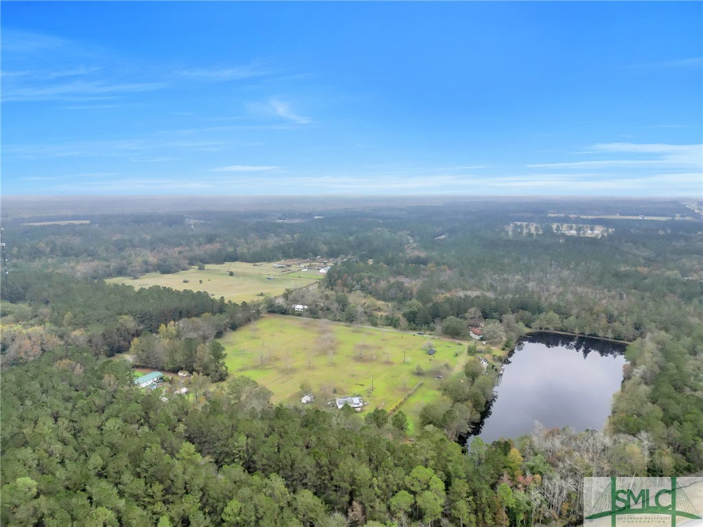 21790 Ga Highway 46 Other Property Photo 6