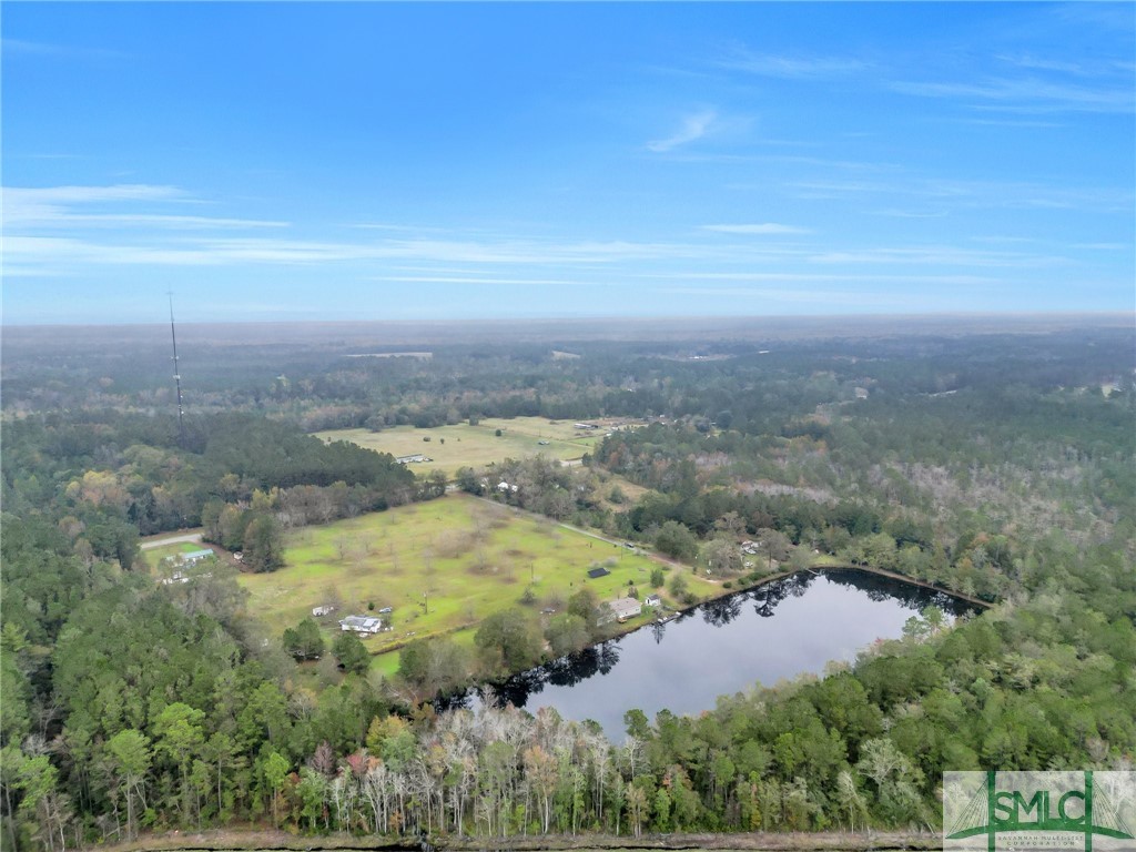 21790 Ga Highway 46 Other Property Photo 7