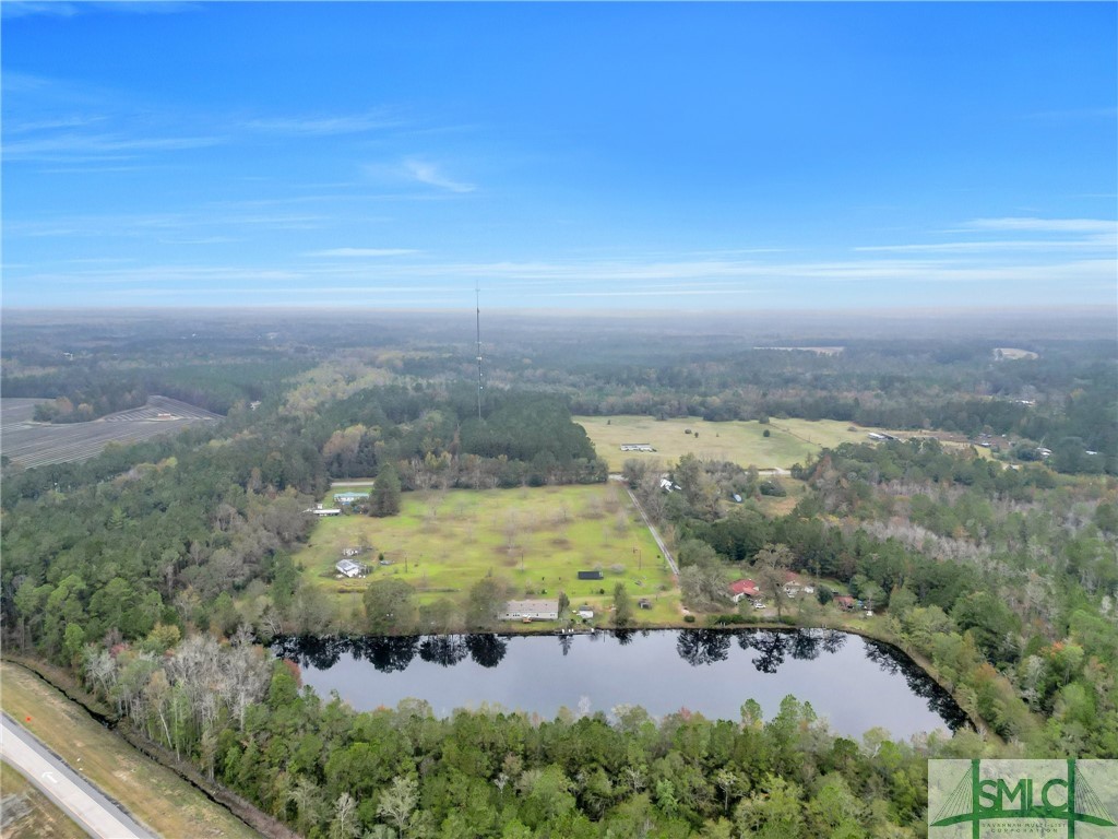 21790 Ga Highway 46 Other Property Photo 8
