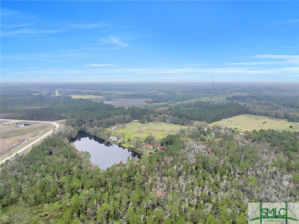 21790 Ga Highway 46 Other Property Photo 10