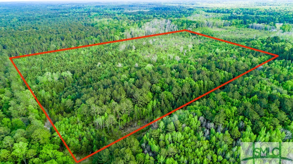 Tbd Dunham Williams Road Property Photo 1