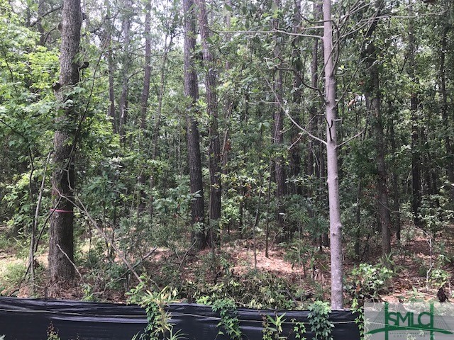 Tbd Lost Oak Drive Property Photo 9