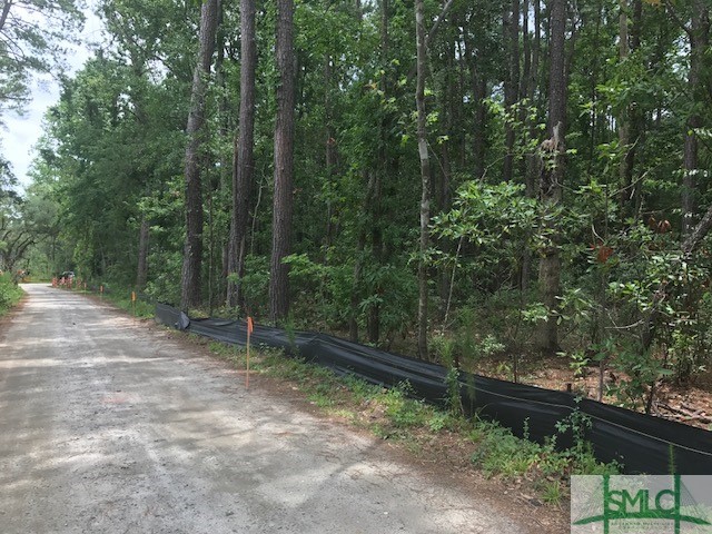 Tbd Lost Oak Drive Property Photo 11