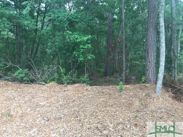 Tbd Lost Oak Drive Property Photo 15