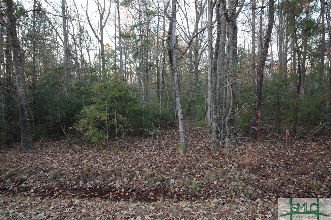 366 Big Estates Circle Property Photo 2