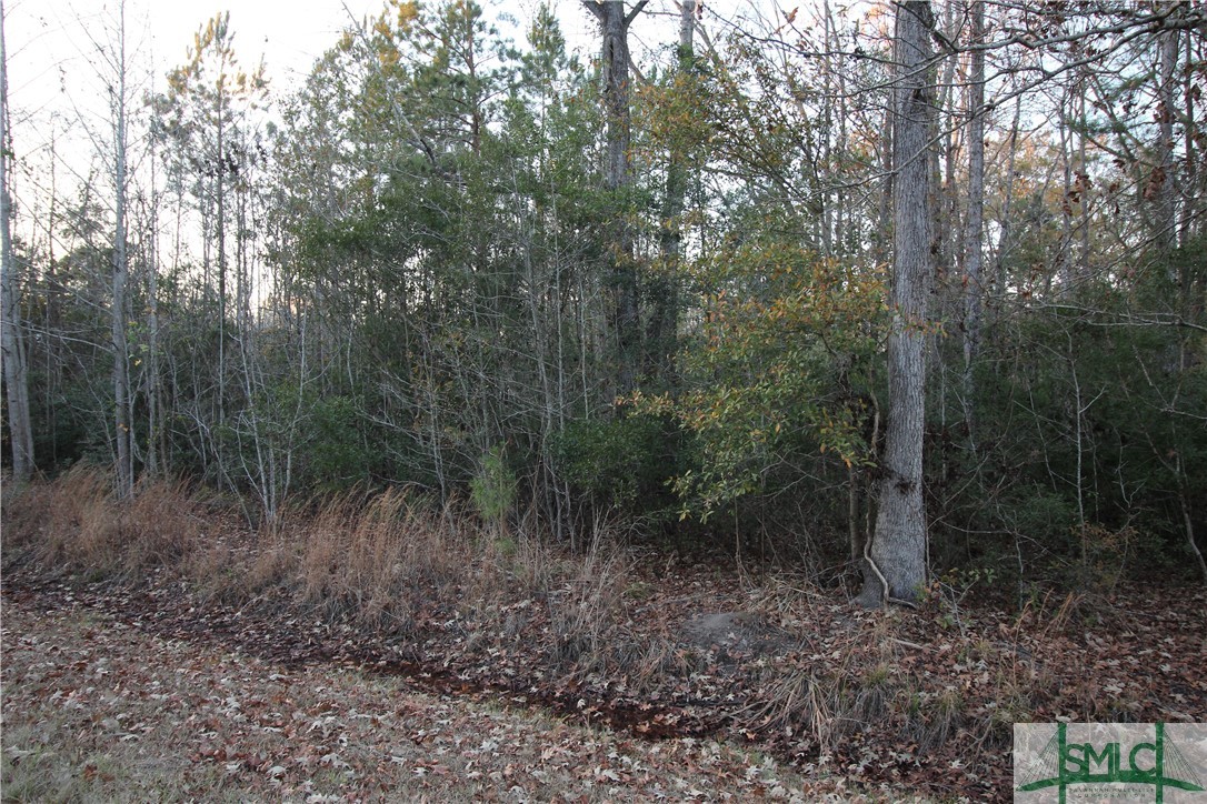 366 Big Estates Circle Property Photo 4