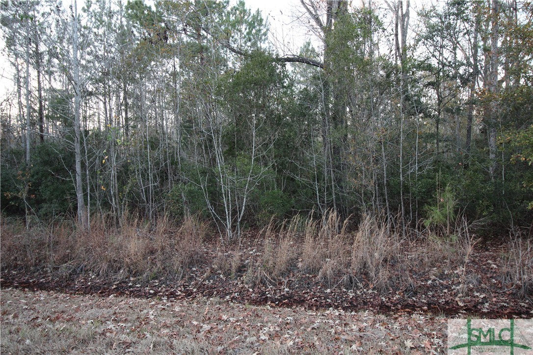 366 Big Estates Circle Property Photo 6