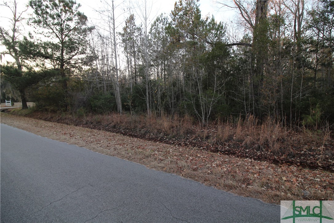 366 Big Estates Circle Property Photo 7