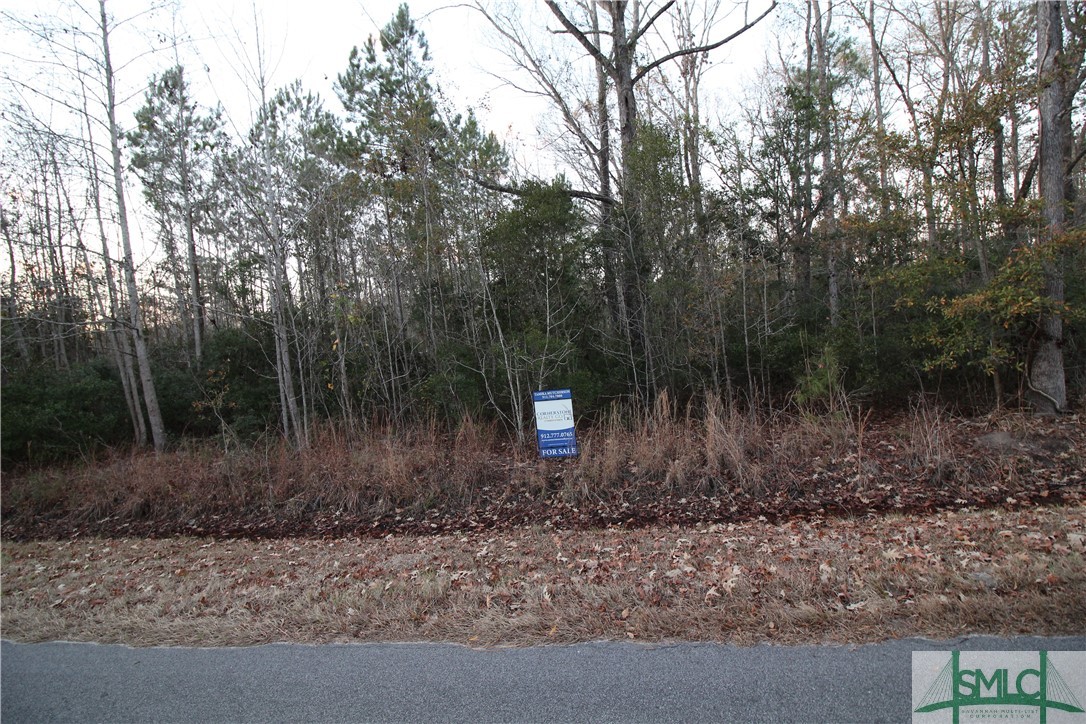 366 Big Estates Circle Property Photo 10