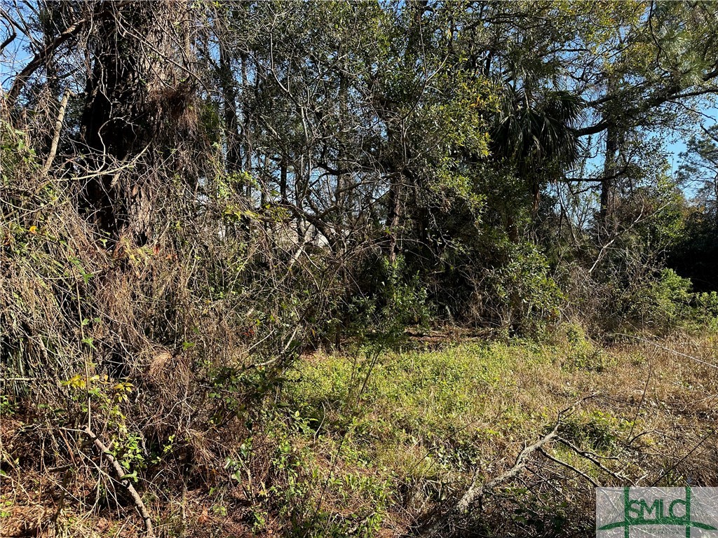 0 Rifle Avenue Property Photo 1