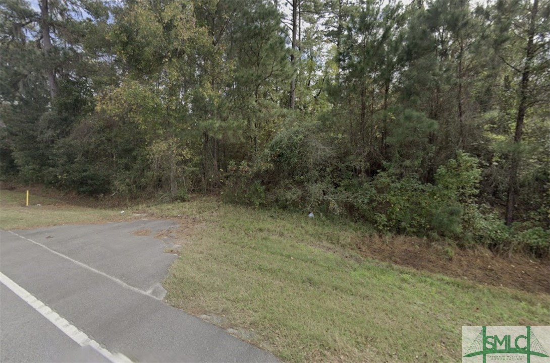 1.54 Acres E Oglethorpe Highway Property Photo 1