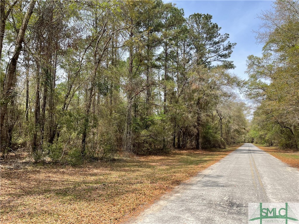 0 Pleasant Acres Road Property Photo 4