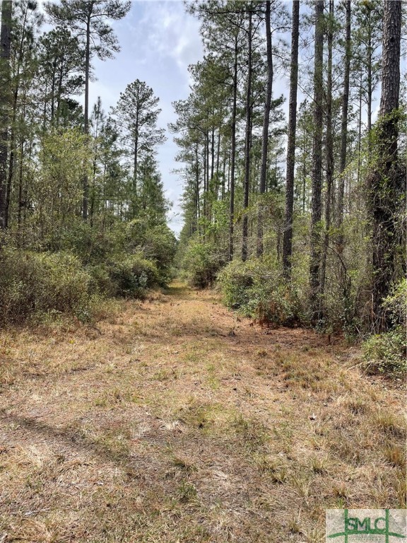 0 Pleasant Acres Road Property Photo 12