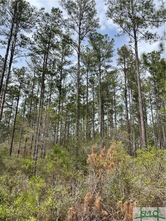 0 Pleasant Acres Road Property Photo 13