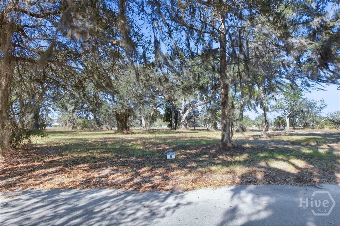 Lot 6 Bermuda Bluff Lane Property Photo 1