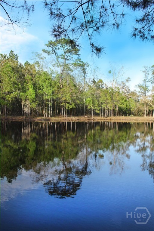 1 William's (36 Lots 95 Acres) Retreat Property Photo 2