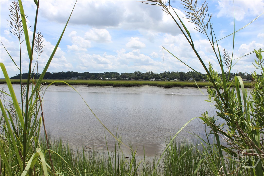 24 Jerico Marsh Lot 24 Road Property Photo 4