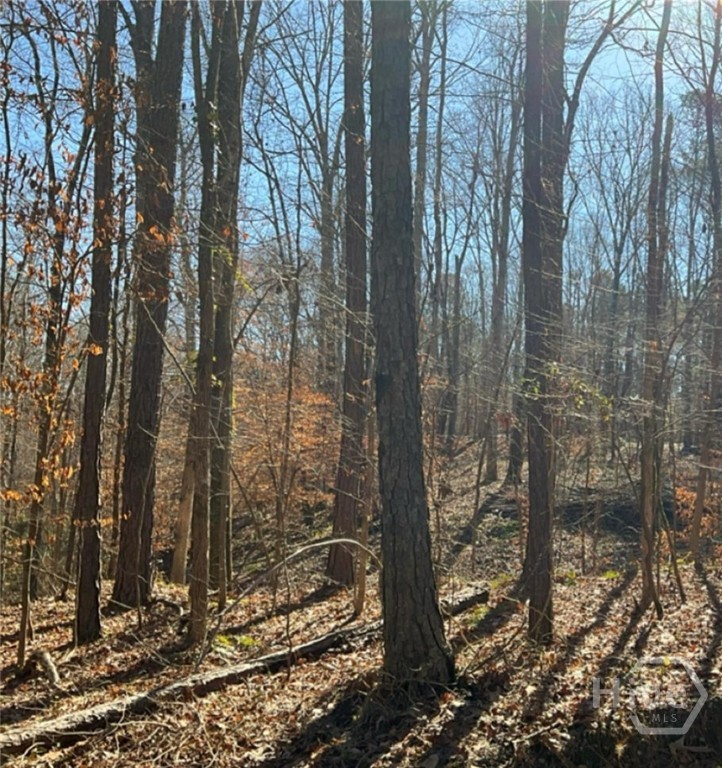 0 Long Leaf Drive Property Photo 2