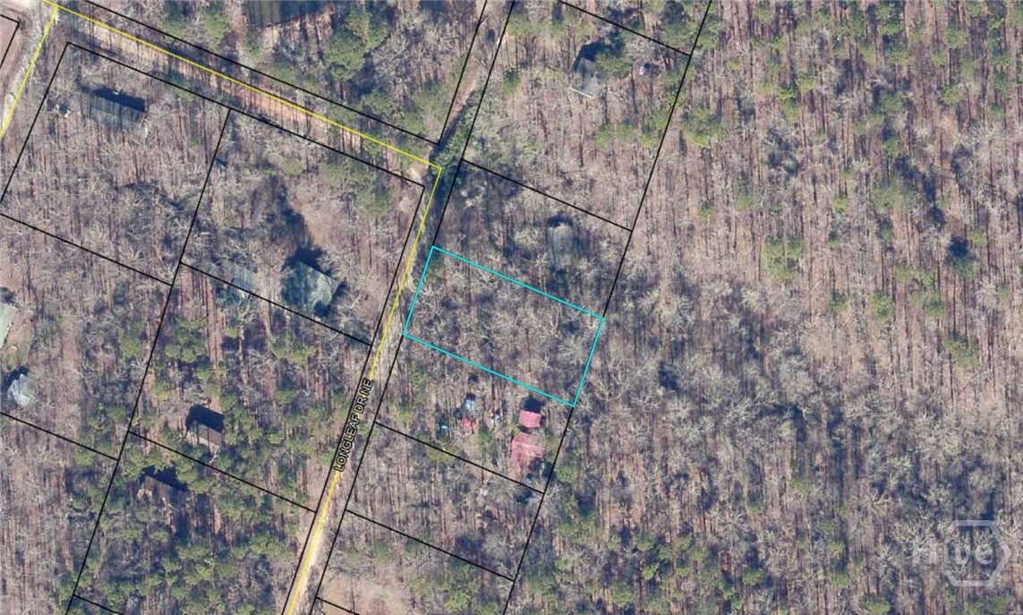 0 Long Leaf Drive Property Photo 3