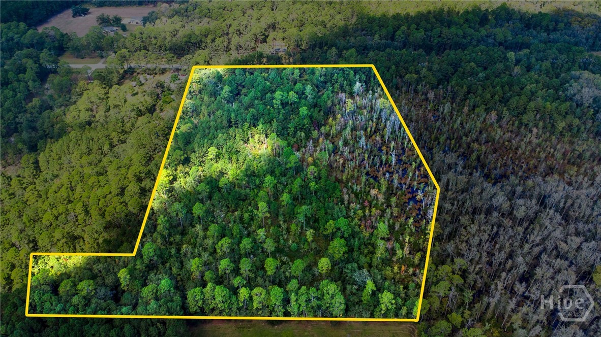 0 Highway 119 Property Photo 4