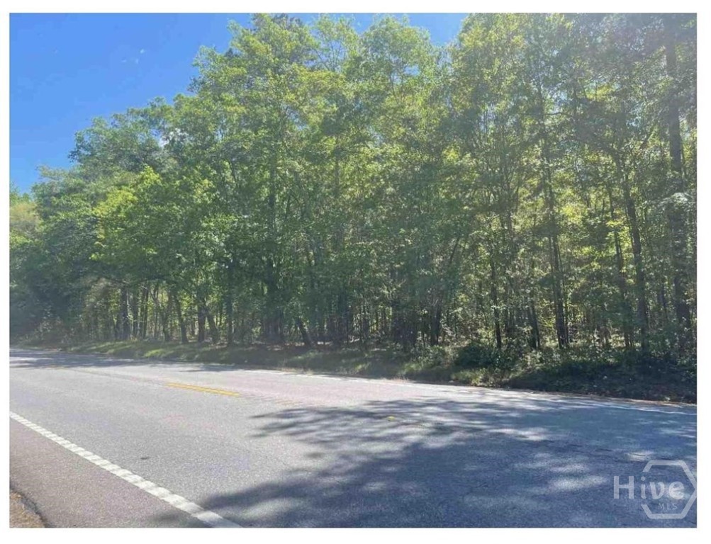 0 Highway 119 Property Photo 9