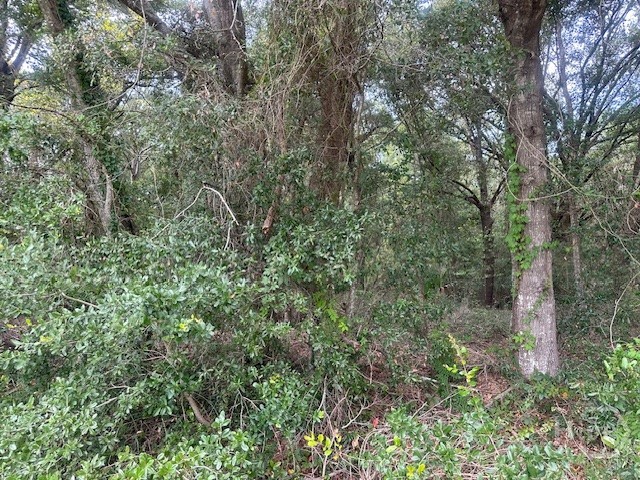 1236 Seaside Road Property Photo 2