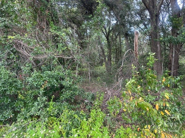 1236 Seaside Road Property Photo 3