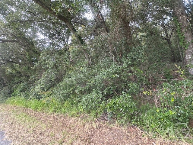 1236 Seaside Road Property Photo 4