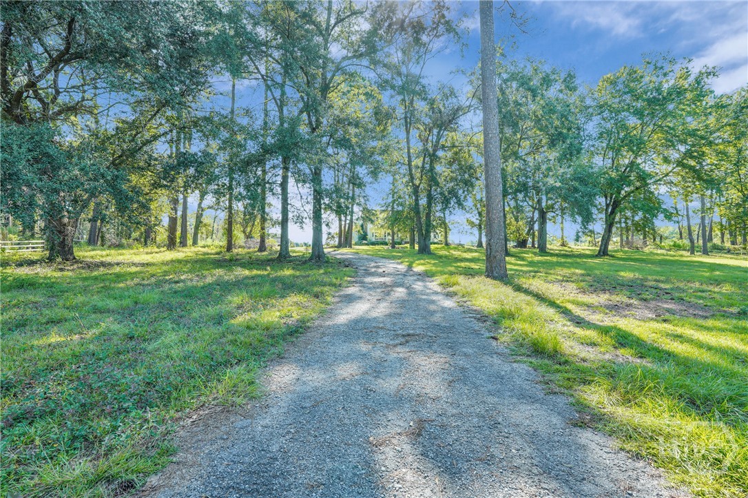 3772 Us Highway 301 Property Photo 49