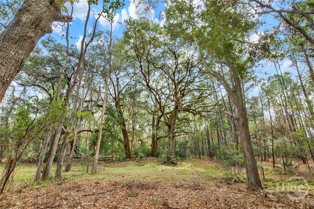 199 Burton Road Property Photo 14