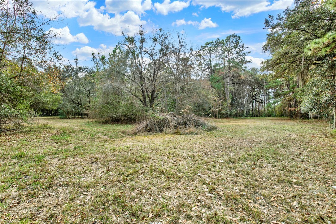 199 Burton Road Property Photo 17