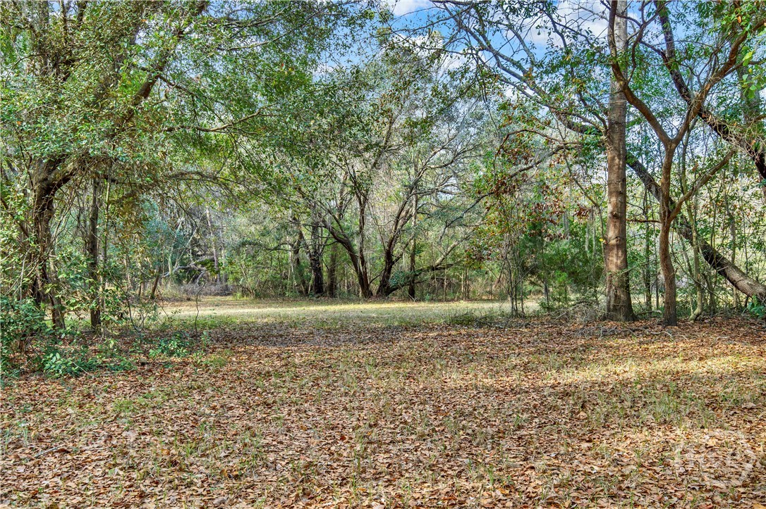 193 Burton Road Property Photo 7