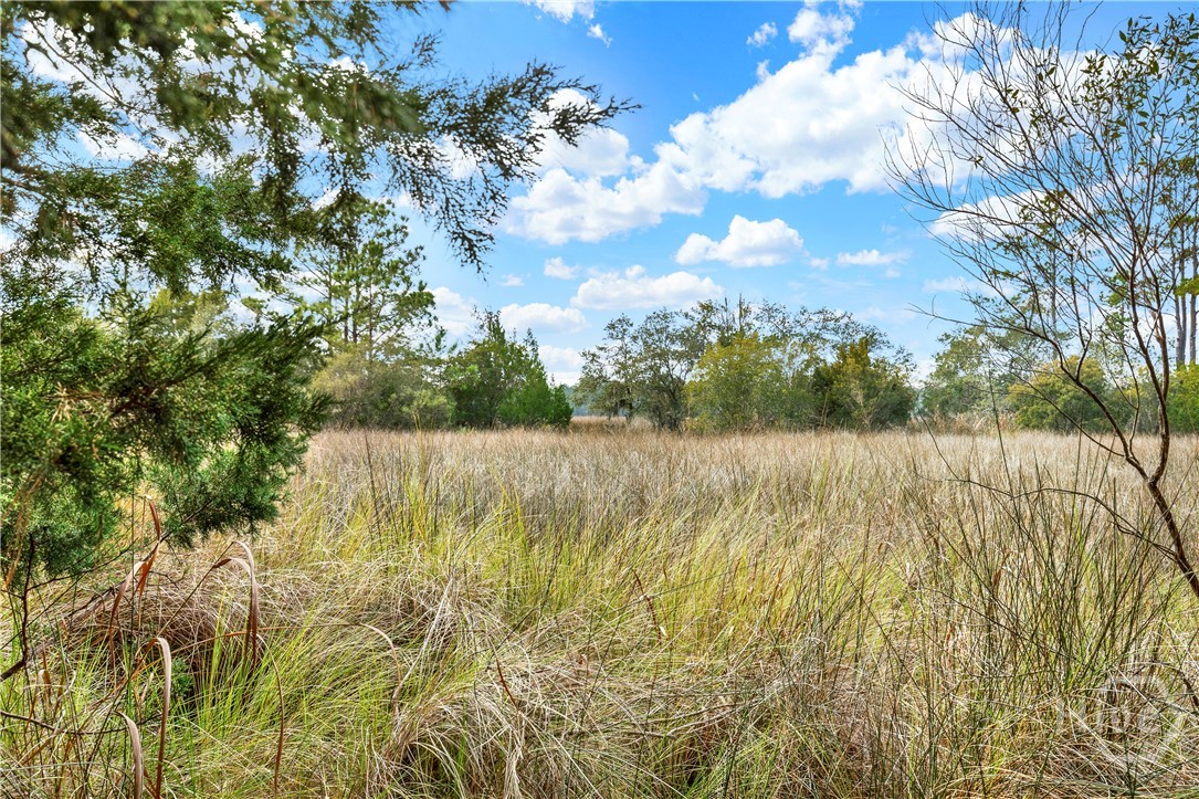 193 Burton Road Property Photo 8