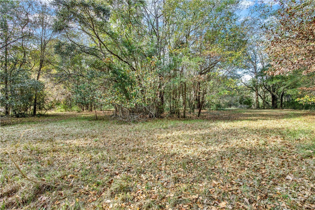 193 Burton Road Property Photo 13