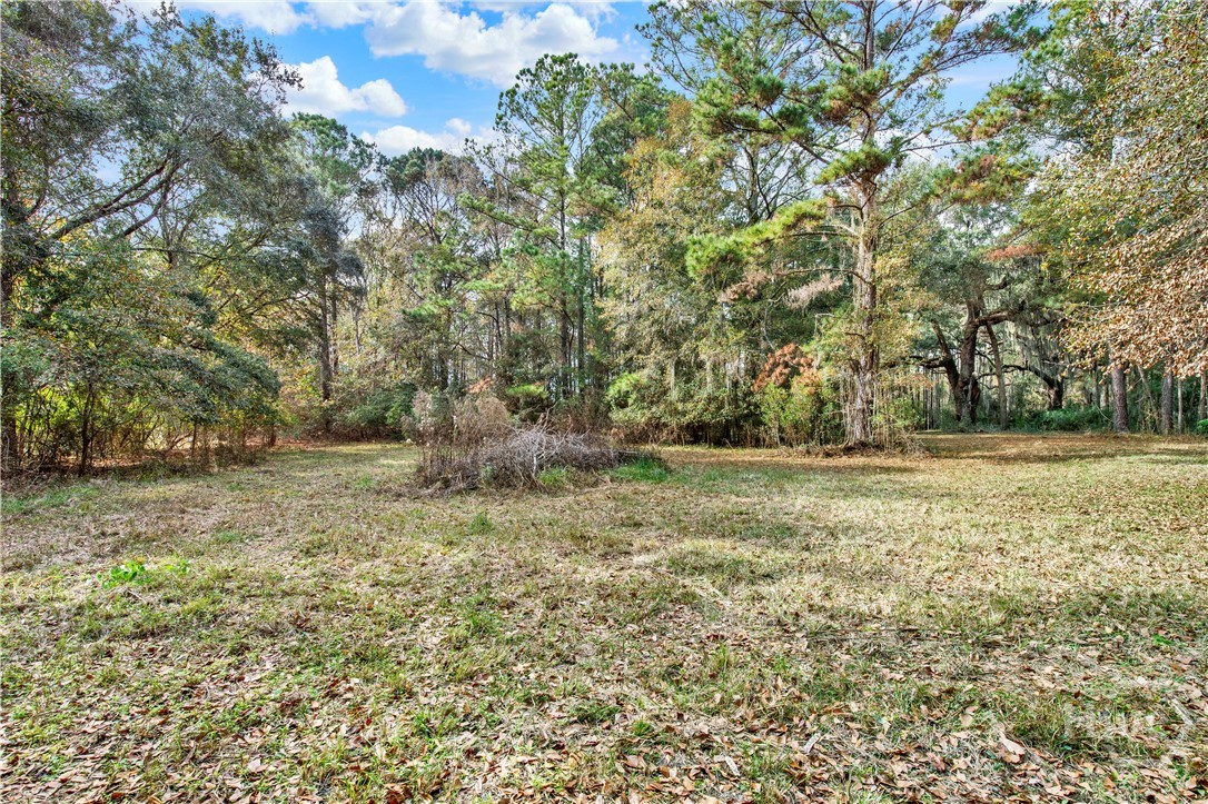 193 Burton Road Property Photo 14