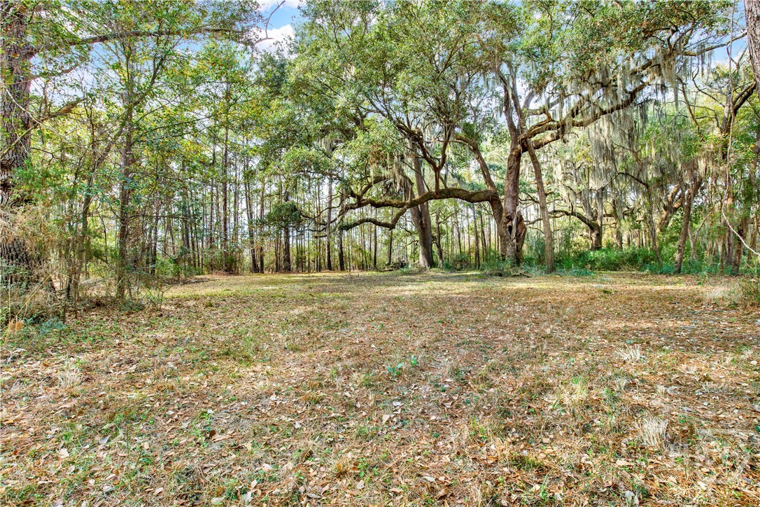 193 Burton Road Property Photo 15