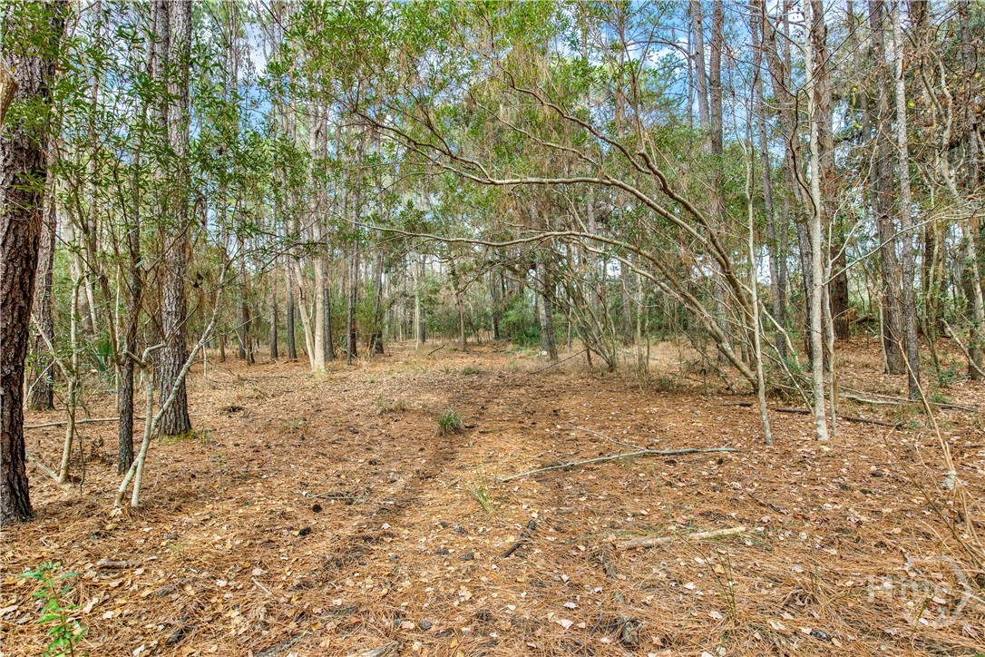 193 Burton Road Property Photo 17