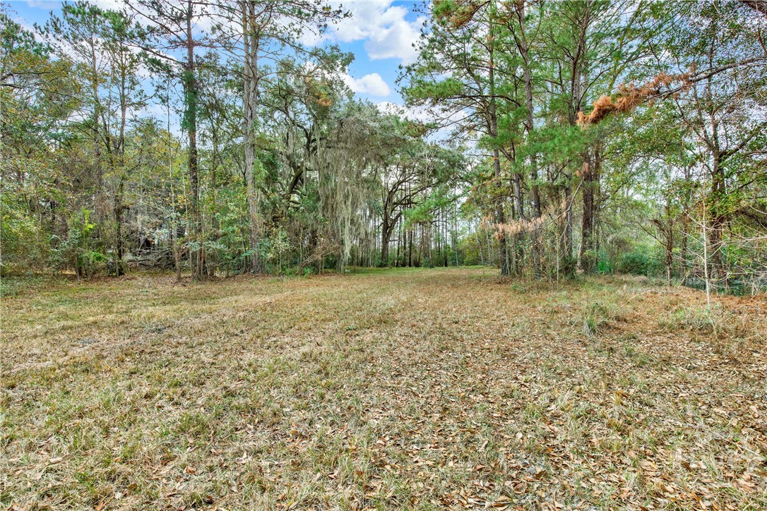 193 Burton Road Property Photo 19