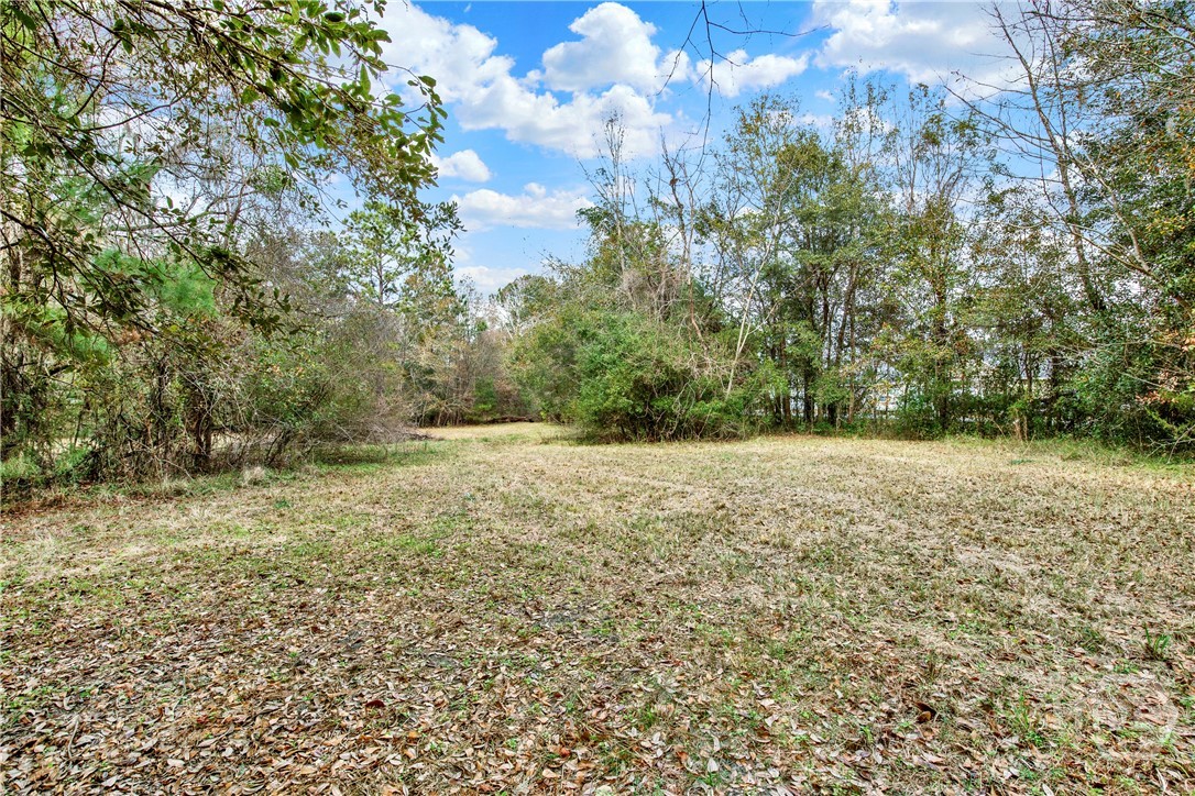 193 Burton Road Property Photo 21