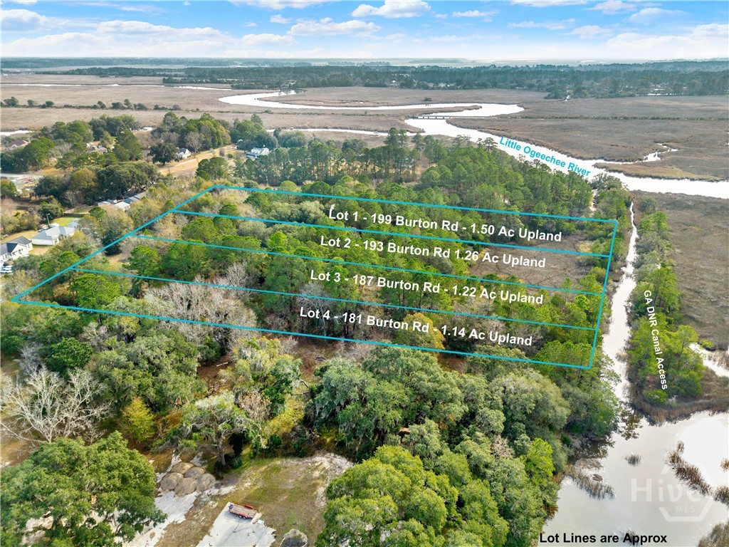 181 Burton Road Property Photo 15